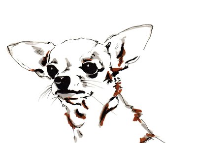 Big Ears the Chihuahua by Jo Chambers